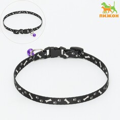 Ошейник Пижон