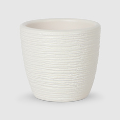 Кашпо Композит Гнездо белый крокус мини d7.5