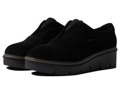 Оксфорды Clarks, Airabell Sky