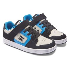 Кроссовки Dc Shoes Manteca 4 V ADBS300378, синий