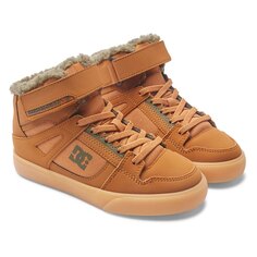 Кроссовки Dc Shoes Pure High Top WNT EV, оранжевый