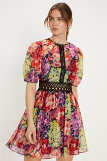 Мини-платье из органзы с цветочной кружевной отделкой Oasis, мультиколор