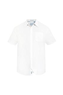 Классическая стандартная рубашка Delmar Kingsize D555 с коротким рукавом Duke Clothing, белый