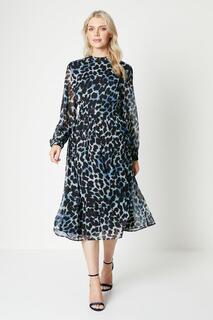 Плиссированное платье миди с леопардовым принтом Debenhams, синий
