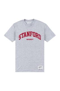 Серая футболка с надписью Heather Stanford University, серый