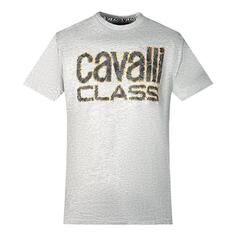 Серая футболка с логотипом Snake Skin Cavalli Class, серый
