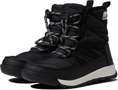 Зимние ботинки Whitney II Short Lace SOREL, цвет Black/Black