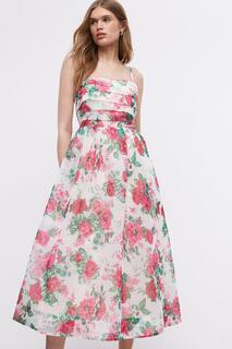 Платье миди из органзы с цветочным принтом и плиссированным лифом Coast, мультиколор