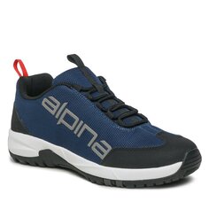 Трекинговые ботинки Alpina Ewl, синий