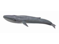 Collecta, Коллекционная фигурка, Синий кит
