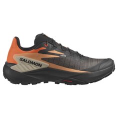 Беговые кроссовки Salomon Genesis Trail, серый