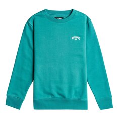 Толстовка Billabong Arch EBBFT00107, зеленый