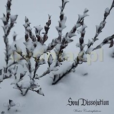 Виниловая пластинка Soul Dissolution - Winter Contemplations Viridian Flame Records