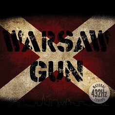Виниловая пластинка Warsaw Gun - Gonokoki Labirynt Records