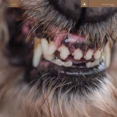 Виниловая пластинка Blanck Mass - World Eater Secretly Canadian