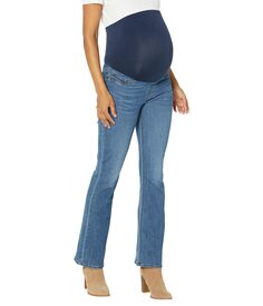 Джинсы Signature by Levi Strauss &amp; Co. Gold Label, Maternity Bootcut Jeans