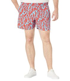 Шорты The North Face, Printed Class V 5&quot; Pull-On Shorts