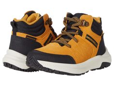 Кроссовки Merrell Kids, Greylock Waterproof