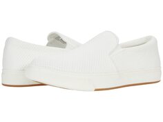 Мокасины Steve Madden, Coulter-M Sneaker