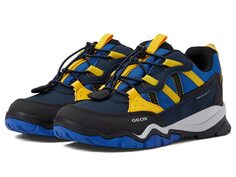 Кроссовки Geox Kids, Montrack Babx 1