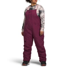 Горнолыжные брюки The North Face Freedom Insulated Plus Short, цвет Boysenberry