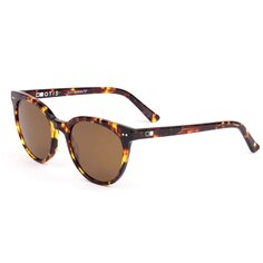 Солнцезащитные очки OTIS Jazmine Eco, цвет Havana Sun/Brown Polar