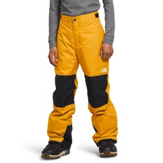 Брюки The North Face Freedom Insulated, цвет Summit Gold
