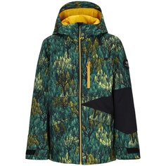 Куртка Obermeyer Gage, цвет Backcountree