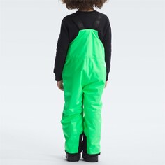 Горнолыжные брюки The North Face Freedom Insulated, цвет Chlorophyll Green