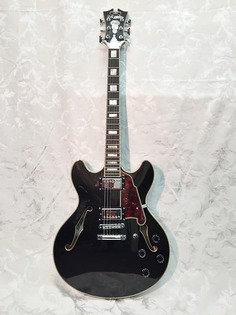 Электрогитара D&apos;Angelico Premier DC 335 Style Semi-Hollow Body Electric Guitar-Black Flake-NEW! D`Angelico