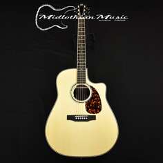 Акустическая гитара Larrivee DV-09E - Acoustic/Electric Guitar w/Anthem Pickup &amp; Case