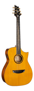 Акустическая гитара Cort LUXE II Frank Gambale Signature Natural Glossy w/Case