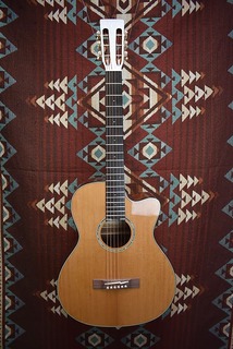 Акустическая гитара 2022 Takamine EF740-FS