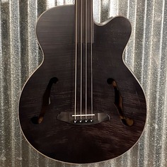 Басс гитара Aria Pro FEB-F2/FL 4 String Acoustic Electric Fretless Bass Black Stain &amp; Bag #9506