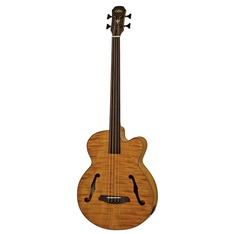 Басс гитара Aria Hollow body fretless bass 2023 - Transparent Brown Stain