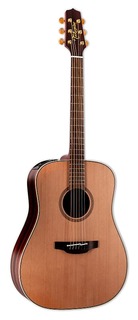 Акустическая гитара Takamine FN15AR Acoustic-electric Guitar - Natural
