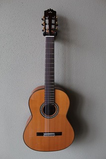Акустическая гитара Brand New Cordoba C9 Parlor 7/8th Size Nylon String Classical Guitar - Cedar Top