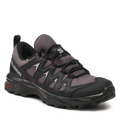 Трекинговые ботинки Salomon XBraze Gtx, серый
