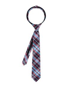 Классический клетчатый галстук с застежкой-молнией для мальчиков Tommy Hilfiger, мультиколор