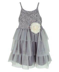 Кружевное платье из блестящей сетки без рукавов для маленьких девочек Pink &amp; Violet, серый