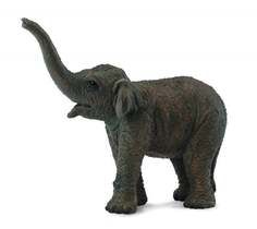 Collecta, Коллекционная статуэтка, Азиатский слон