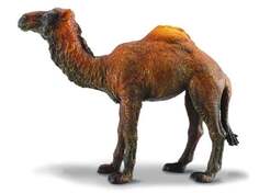 Collecta, Коллекционная статуэтка, Одногорбый верблюд