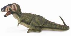 Collecta, Коллекционная фигурка, Динозавр Дасплетозавр, размер L