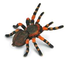 Collecta, фигурка красноколеного тарантула, размер L