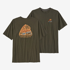 Мужская футболка Take a Stand Responsibili Patagonia, цвет Bayou Badge: Basin Green