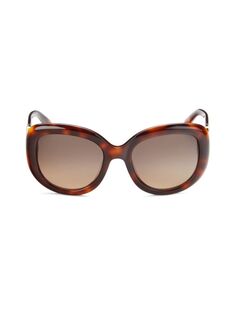 Солнцезащитные очки «кошачий глаз» 53MM Salvatore Ferragamo, цвет Tortoise