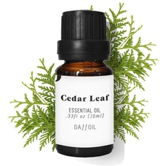 Cedar Leaf, Эфирное масло, 10 мл, чистое био, 100% натуральное, Daffoil