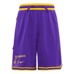 Спортивные шорты Nike NBA Los Angeles Lakers Basketball Shorts Purple, фиолетовый