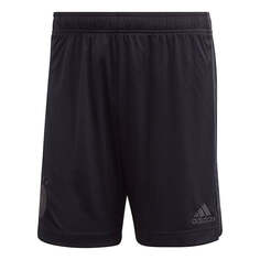 Шорты adidas Dfb a Sho Soccer/Football Training Sports tournament Shorts Black, черный