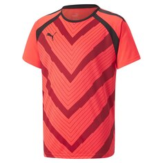 Футболка с коротким рукавом Puma Teamliga Graphic, красный